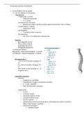 samenvatting functionele anatomie WK 