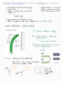 CIE A-level Biology: Plant Hormones (A* achieved)