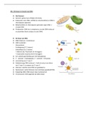 Bvj Max Samenvatting Thema 4 DNA VWO 5 alle basisstoffen