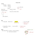 Endospore Stain