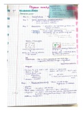 Samenvatting H0-6  analyse in het biofarmaceutisch onderzoek