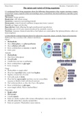 Edexcel iGCSE Biology