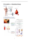 Verpleegkundige methodiek en vaardigheden 2: Circulatie