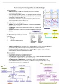 Homeostase samenvatting geneeskunde VU