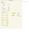 Organic Chemistry: Amino Acids