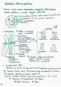 Biología: ADN y genética 