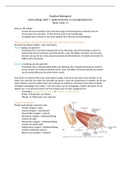 Spieranatomie en energiesystemen