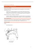 Samenvatting fonetiek en fonologie