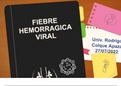 FIEBRE HEMORRAGICA VIRAL