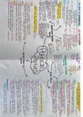 Political Parties Summary Edexcel A Level Politics