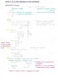 Grade 10 Mathematics - Full Course Notes