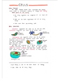 BIO 1111 Basic Cell Summary