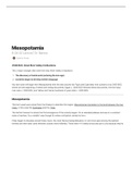 World Civilizations: Mesopotamia