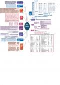 Class 11 CBSE Physics Chapter 1 : Units and Measurements