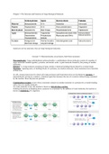 Chapter 5: The Structure and Function of Large Biological Molecule