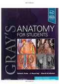 Gray’s Anatomy for Students 4th Edition Drake Test Bank