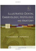 Illustrated Dental Embryology Histology and Anatomy 4th Edition Fehrenbach Test Bank.pdf