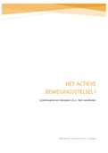 Het Actieve Bewegingsstelsel 1: samenvatting lymfestelsel