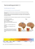 Samenvatting  Alle Vakken Periode 2.1