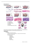 Humane Biologie leerjaar 2 