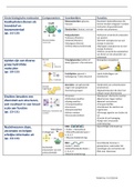 Biologische moleculen met uitleg leerjaar 1