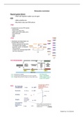Moleculaire technieken leerjaar 2 eerste blok