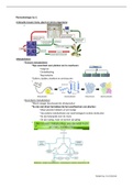 Plantenbiologie leerjaar 2