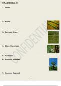 FFA AGRONOMY -9