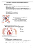 samenvatting bloedvaten en bloedsomloop