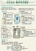 GCSE AQA combined science trilogy biology: B1 Cell Biology - Cells