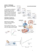 Neural Basis of Motor Control (BB080C) Summary of all lectures