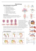 Translational Neuroscience (MED-MIN16 ) Neurobiology