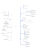 Mindmap en belangrijke punten hoofdstuk 11 neurobiologische ontwikkelingsstoornissen bij volwassenen