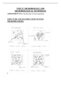 UNIT 17 A . MICROBIOLOGY AND MICROBIOLOGICAL TECHNIQUES