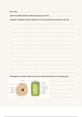 Cambridge IGCSE Biology (0610) cells notes 