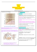 * Test 1	 * Final N306 Exam 1 Study Guide (40 questions)