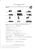 ASL Trueway Unit 4 Worksheets Complete Solution