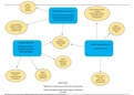 NR 503 Week 7 Concept Map