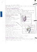 Class notes NTS-135 (NTS135) 