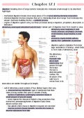 The Digestive System