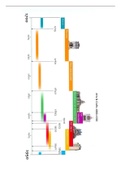 Samenvatting identiteit 1