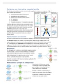 Cytokines en chemokines 