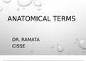 Anatomical-Terms-Chapter-1-Body-Regions-Ati-Teas.pptx