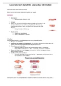 Samenvatting anatomie spierstelsel labo Heelkunde geneeskunde