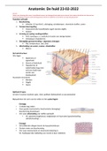 Samenvatting anatomie de huid labo heelkunde geneeskunde