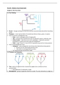 Bio 220 (Ecology and Evolution) - Module 2 Exam Study Guide 