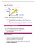 Samenvatting creativiteit SRW (Fase 1)