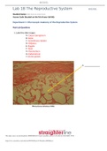 Exam (elaborations) BIO 202L Lab 18 Worksheet- The Reproductive System Lab 18 The Reproductive System BIO202L Student Name: Click here to enter text. Access Code (located on the lid of your lab kit): Experiment 1: Microscopic Anatomy of the Reproductive S