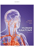 Human Anatomy 9th Edition Martini Tallitsch Nath Test Bank 