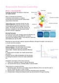 Responsible Business Leadership Summary IBA Year 2